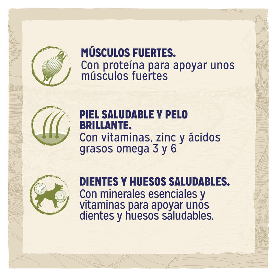 14 kg Dog Chow Adult Cordero pienso para perros, , large Imagen numero 2